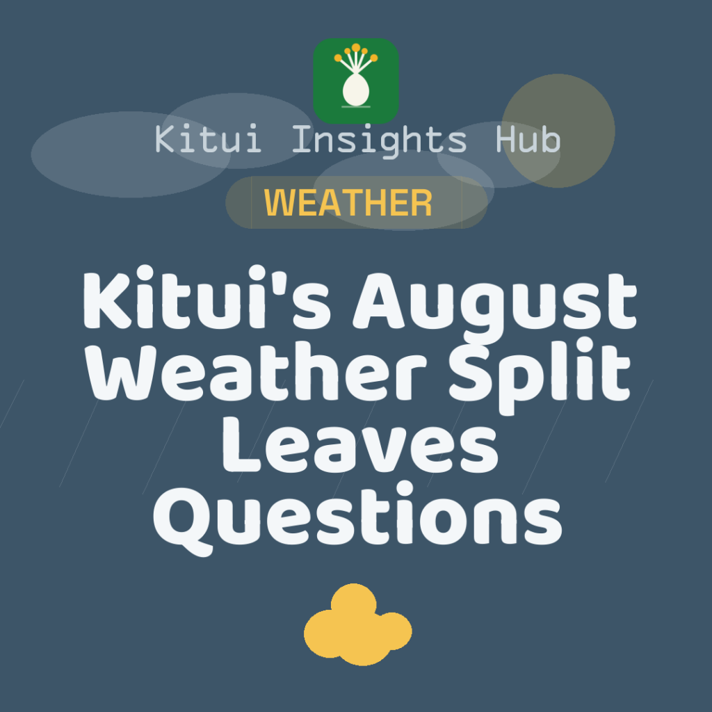 Kitui's August Weather Split Leaves Questions